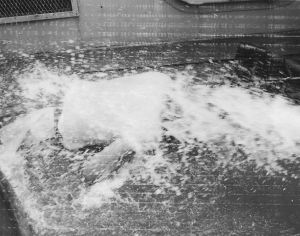 Shellback Initiation